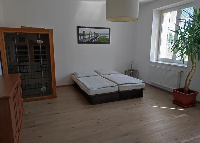 Apartman Hartvikovice 公寓 Hartvikovice